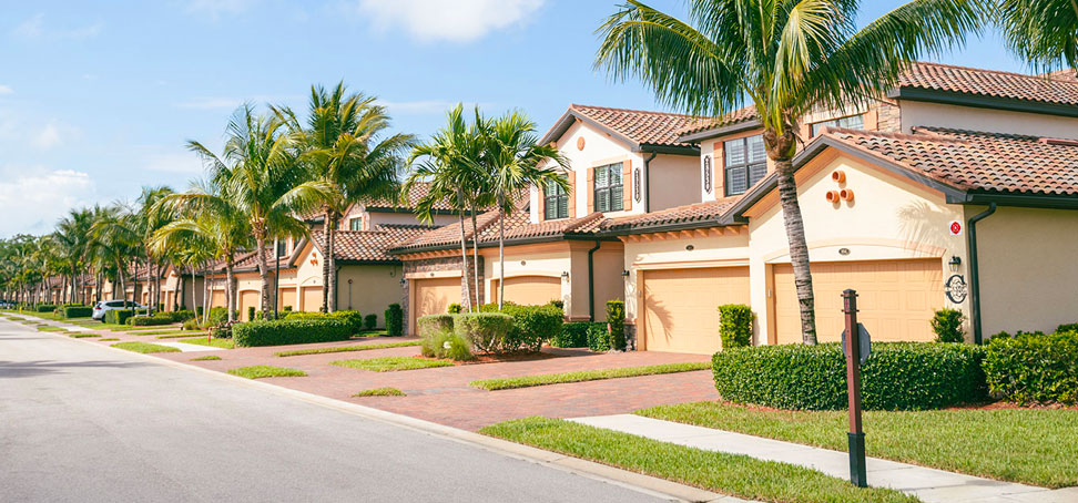 Houses on a Florida street with palm trees