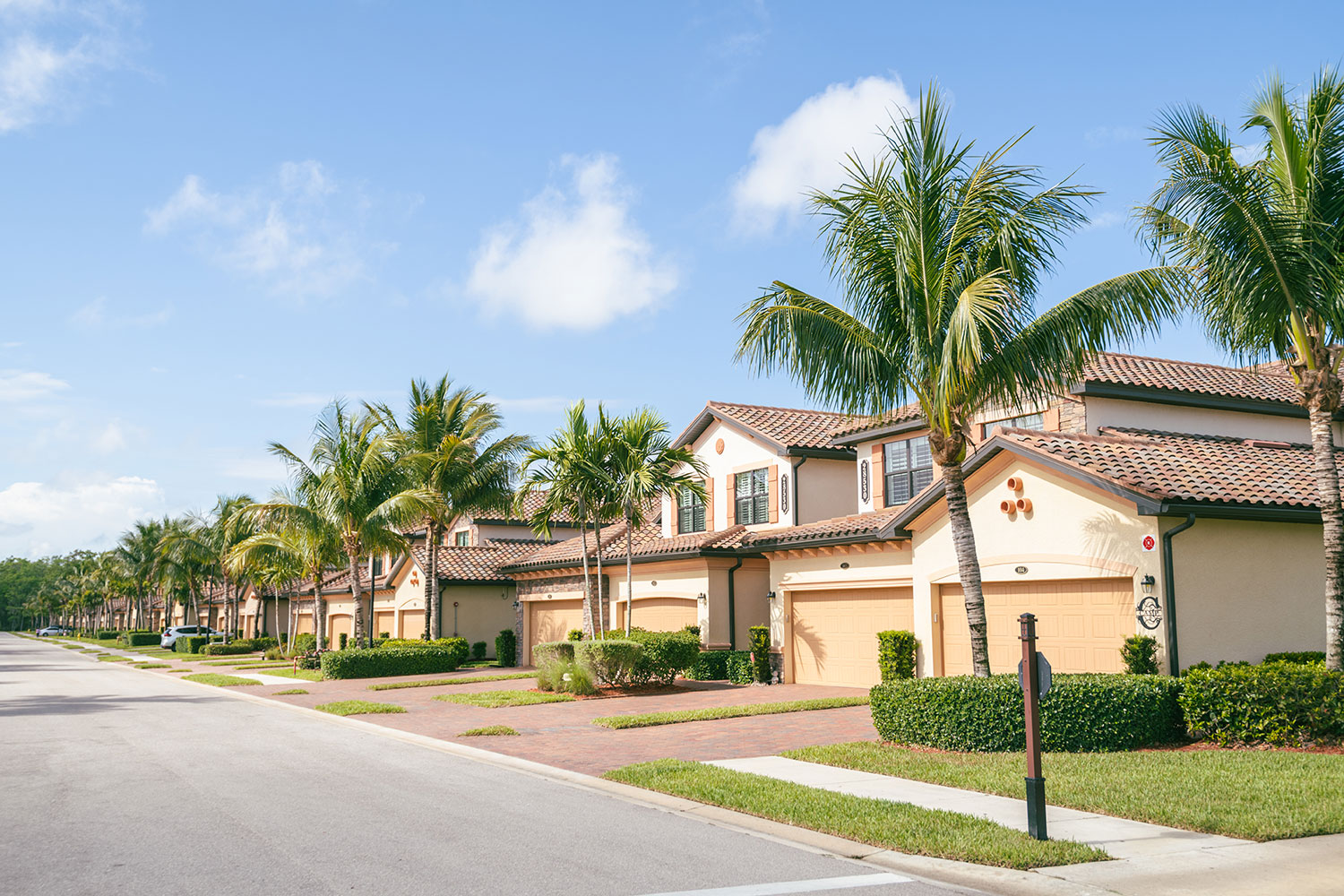 Florida street with houses and palm trees