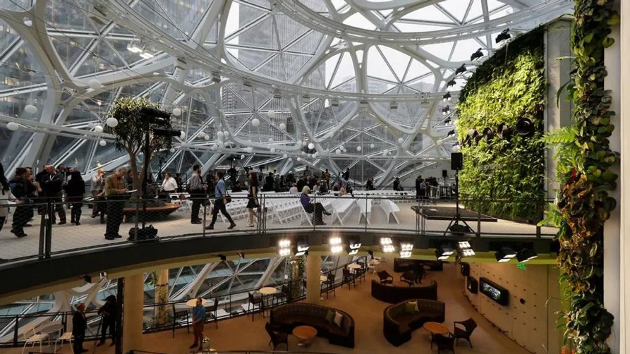 Inside the Amazon Spheres in Seattle
